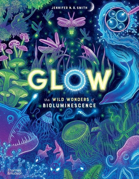 Produktbild: Glow