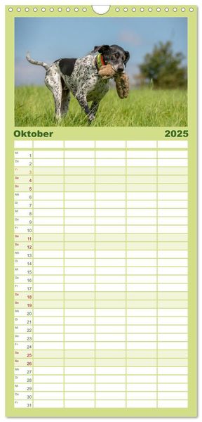 Familienplaner 2025 - Jagdhunde bei der Arbeit mit 5 Spalten (Wandkalender, 21 x 45 cm) CALVENDO