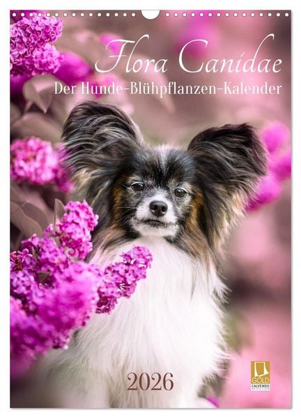 Produktbild: Flora Canidae - der Hunde-Bl&uuml;hpflanzen-Kalender (Wandkalender 2026 DIN A3 hoch), CALVENDO Monatskalender
