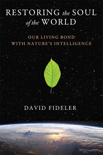 Produktbild: Fideler, D: Restoring the Soul of the World