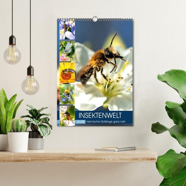 Produktbild: INSEKTENWELT - Heimische N&uuml;tzlinge ganz nah (Wandkalender 2026 DIN A3 hoch), CALVENDO Monatskalender