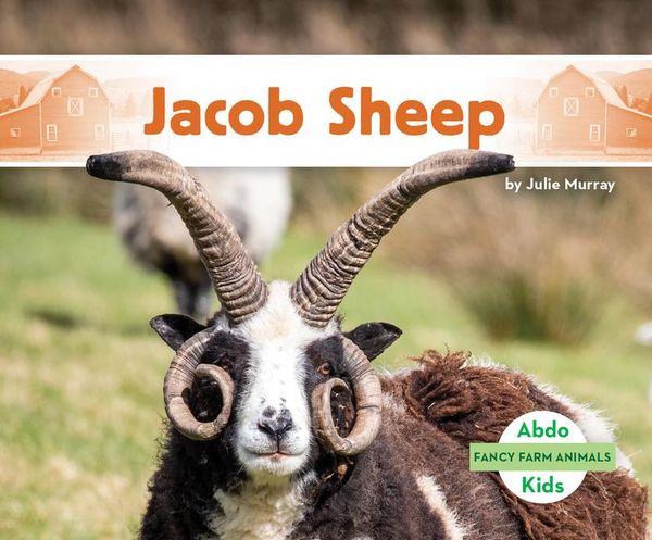 Produktbild: Jacob Sheep