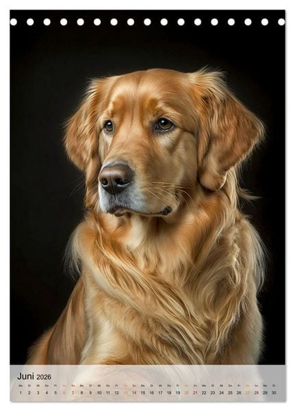 Produktbild: Golden Retriever - ein Hund f&uuml;r die Familie (Tischkalender 2026 DIN A5 hoch), CALVENDO Monatskalender