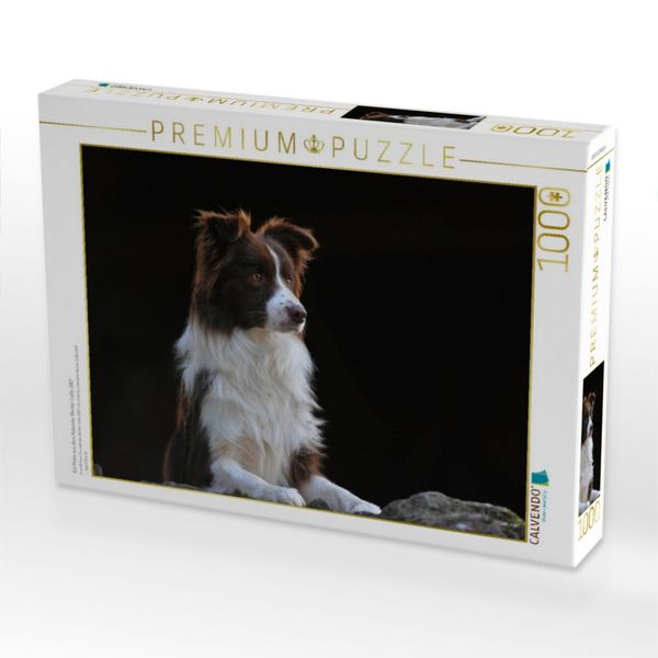 Produktbild: CALVENDO Puzzle Ein Motiv aus dem Kalender Border Collie 2017 | 1000 Teile Lege-Gr&ouml;&szlig;e 64x48cm Foto-Puzzle f&uuml;r gl&uuml;ckliche Stunden