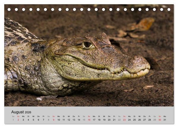 Produktbild: Costa Rica (Tischkalender 2026 DIN A5 quer), CALVENDO Monatskalender