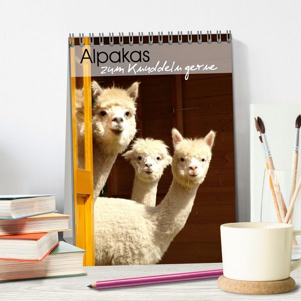 Produktbild: Alpakas zum Knuddeln gerne (Tischkalender 2026 DIN A5 hoch), CALVENDO Monatskalender