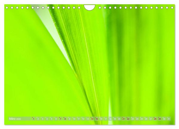 Produktbild: GR&Uuml;N Harmonie Wachstum Zufriedenheit (Wandkalender 2026 DIN A4 quer), CALVENDO Monatskalender
