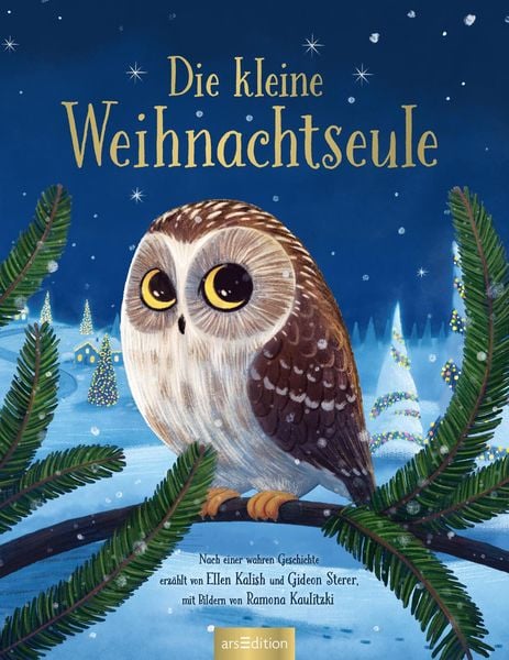 Produktbild: Die kleine Weihnachtseule