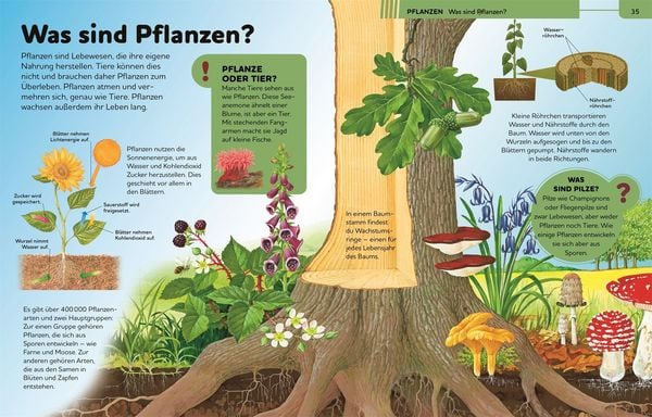 Produktbild: Das gro&szlig;e Kinderlexikon Grundschulwissen