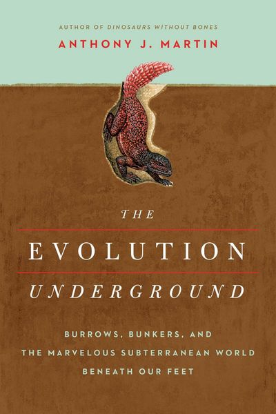 Produktbild: The Evolution Underground