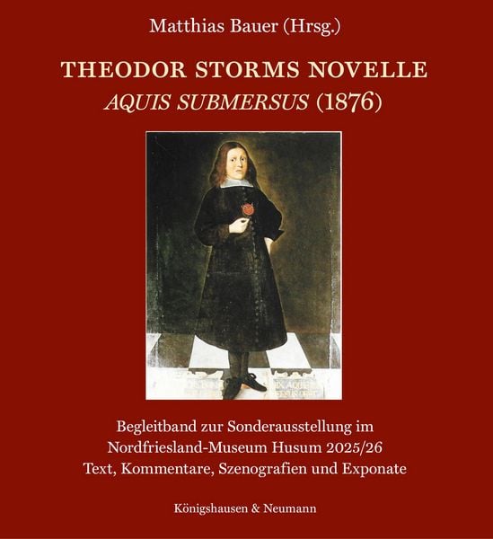 Produktbild: Theodor Storms Novelle Aquis submersus (1876)