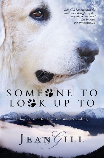 Produktbild: Someone To Look Up To