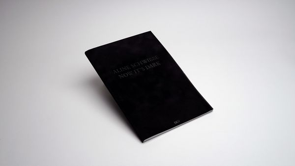 Produktbild: Aline Schwibbe &ndash; Now It&rsquo;s Dark