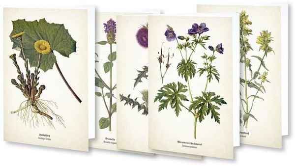 Produktbild: Kunstklappkarten "Flora"