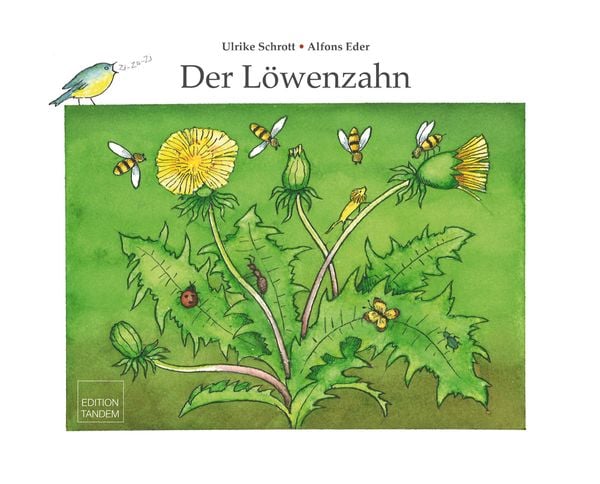 Produktbild: Der L&ouml;wenzahn