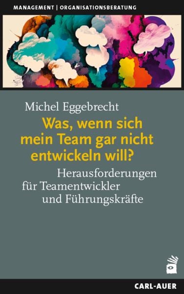 Produktbild: Was, wenn sich mein Team gar nicht entwickeln will?