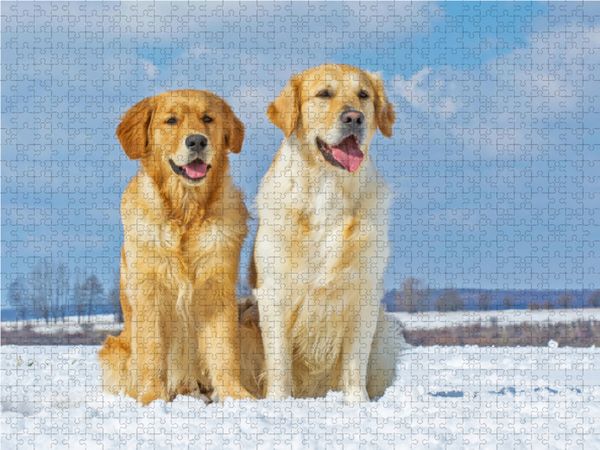 Produktbild: CALVENDO Puzzle Allen ein gesundes Neues Jahr 1000 Teile Lege-Gr&ouml;&szlig;e 64 x 48 cm Foto-Puzzle Bild von Sigrid Starick