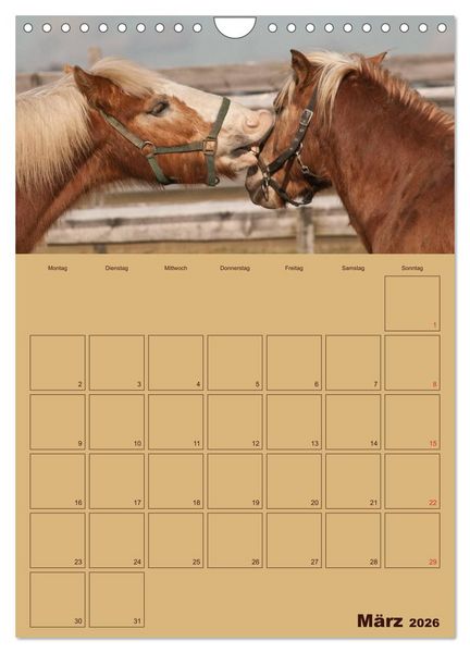 Produktbild: Pferde Gute Freunde (Wandkalender 2026 DIN A4 hoch), CALVENDO Monatskalender