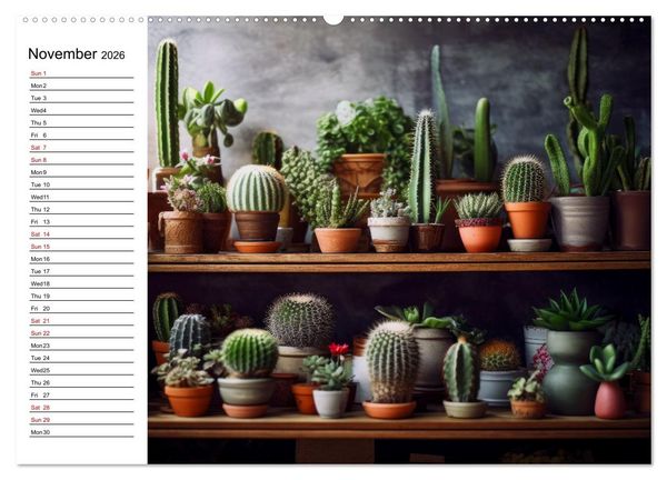 Produktbild: Cacti Wonderland (Wall Calendar 2026 DIN A2 landscape), CALVENDO 12 Month Wall Calendar