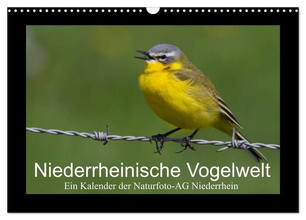 Produktbild: Niederrheinische Vogelwelt (Wandkalender 2026 DIN A3 quer), CALVENDO Monatskalender