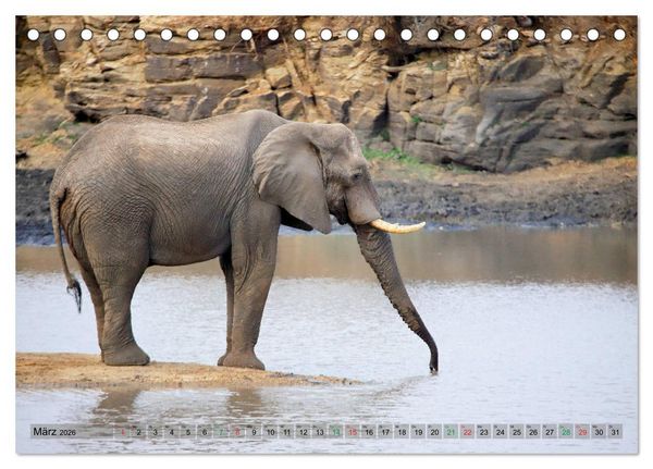 Produktbild: Elefanten in Afrika (Tischkalender 2026 DIN A5 quer), CALVENDO Monatskalender