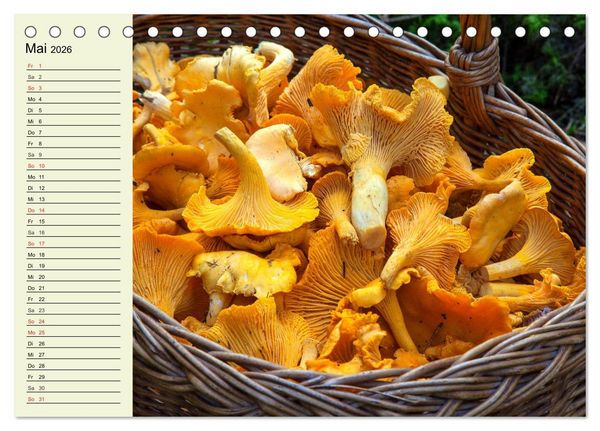 Produktbild: Pilze und Pilzgerichte (Tischkalender 2026 DIN A5 quer), CALVENDO Monatskalender