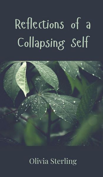 Produktbild: Reflections of a Collapsing Self
