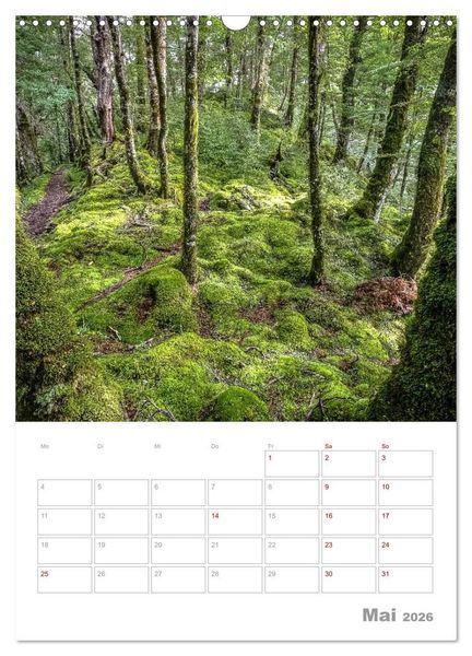 Produktbild: Kalenderplaner g'day Neuseeland 2026 (Wandkalender 2026 DIN A3 hoch), CALVENDO Monatskalender