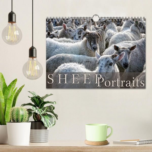 Produktbild: Sheep Portraits (Wall Calendar 2026 DIN A4 landscape), CALVENDO 12 Month Wall Calendar