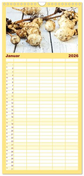 Produktbild: Familienplaner 2026 - K&ouml;stliche Topinambur mit 5 Spalten (Wandkalender, 21 x 45 cm) CALVENDO