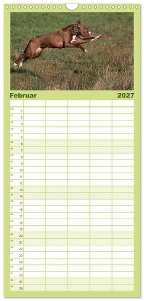 Produktbild: Familienplaner 2027 - Hunde Action mit 5 Spalten (Wandkalender, 21 x 45 cm) CALVENDO