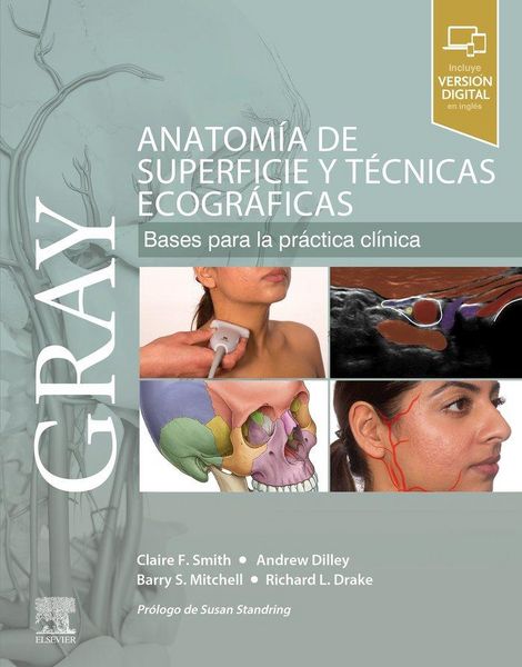 Produktbild: Gray : anatom&iacute;a de superficie y t&eacute;cnicas ecogr&aacute;ficas