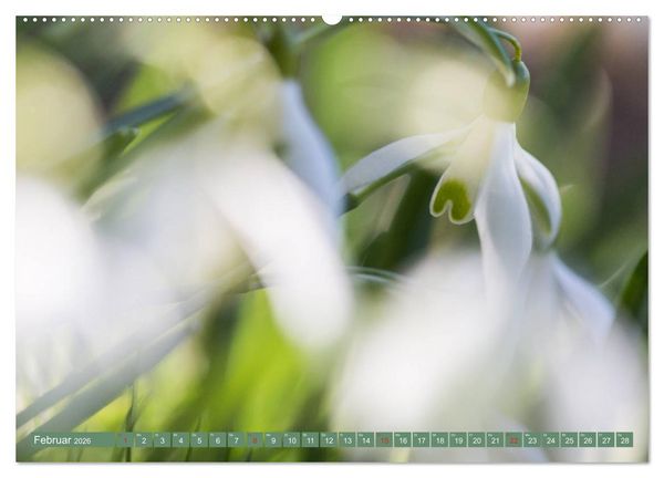Produktbild: Die Natur hautnah (hochwertiger Premium Wandkalender 2026 DIN A2 quer), Kunstdruck in Hochglanz