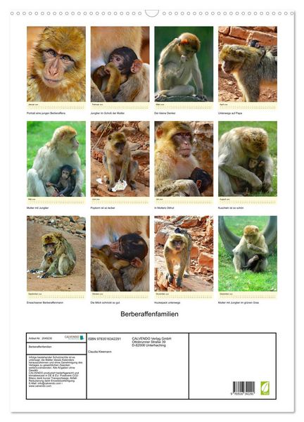 Produktbild: Berberaffenfamilien (Wandkalender 2026 DIN A2 hoch), CALVENDO Monatskalender