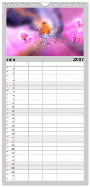 Produktbild: Familienplaner 2027 - Bei uns im Garten - Rotkehlchen mit 5 Spalten (Wandkalender, 21 x 45 cm) CALVENDO