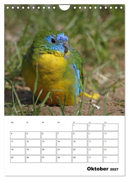 Produktbild: Papageien - Graupapagei, Rosella und Co. (Wandkalender 2027 DIN A4 hoch), CALVENDO Monatskalender