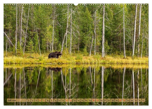 Produktbild: Wildes Finnland (hochwertiger Premium Wandkalender 2026 DIN A2 quer), Kunstdruck in Hochglanz