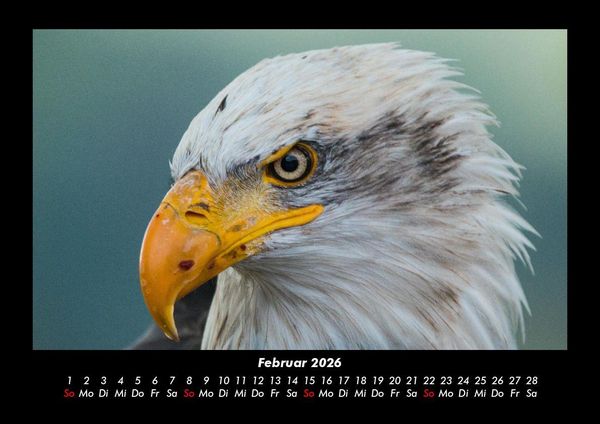 Produktbild: Adler 2026 Fotokalender DIN A3