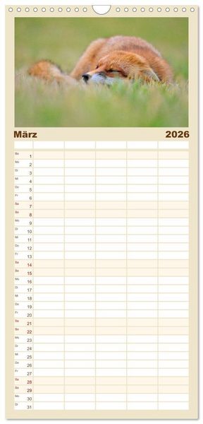 Produktbild: Familienplaner 2026 - Auf den Spuren der Stadtf&uuml;chse mit 5 Spalten (Wandkalender, 21 x 45 cm) CALVENDO