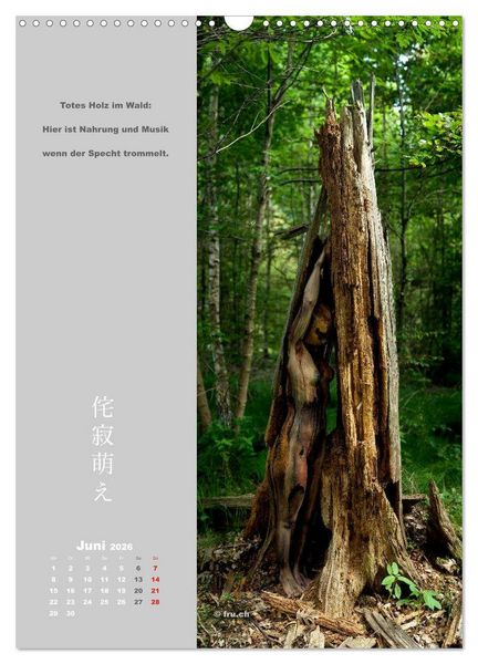 Produktbild: wabi sabi moe &mdash; bewundernswert verg&auml;nglich erotisch &mdash; Akt/Bodypainting (Wandkalender 2026 DIN A3 hoch), CALVENDO Monatskalender
