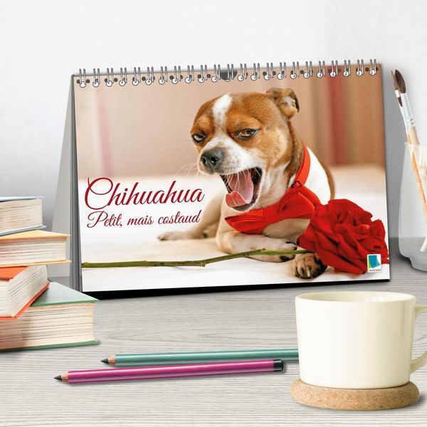 Produktbild: Chihuahua : petit, mais costaud (Calendrier de bureau 2026 DIN A5 vertical), CALVENDO calendrier mensuel