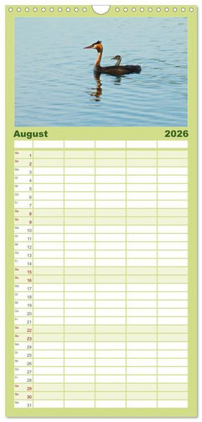 Produktbild: Familienplaner 2026 - Heimische V&ouml;gel mit 5 Spalten (Wandkalender, 21 x 45 cm) CALVENDO