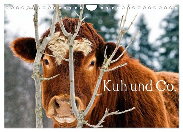Kuh und Co. (Wandkalender 2026 DIN A4 quer), CALVENDO Monatskalender