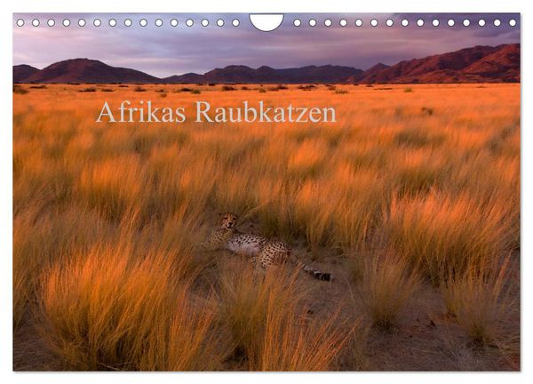Afrikas Raubkatzen (Wandkalender 2026 DIN A4 quer), CALVENDO Monatskalender