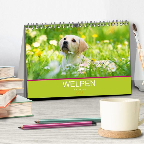 Produktbild: Welpen im Fr&uuml;hling (Tischkalender 2026 DIN A5 quer), CALVENDO Monatskalender
