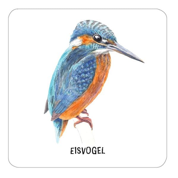 Produktbild: Das gro&szlig;e Vogel Memo - Wer findet die meisten Paare?