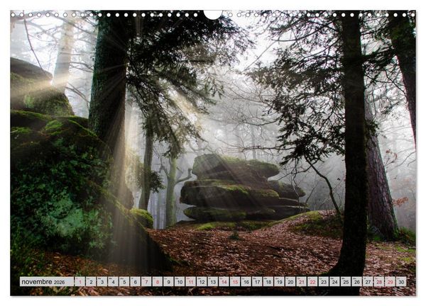 Produktbild: Splendeurs des Vosges (Calendrier mural 2026 DIN A3 vertical), CALVENDO calendrier mensuel