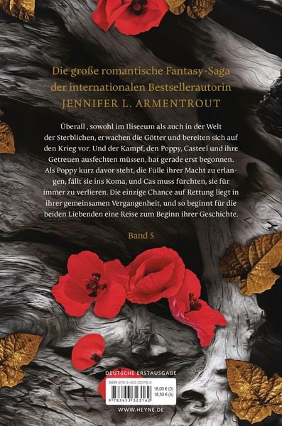 Produktbild: Soul and Ash &ndash; Liebe kennt keine Grenzen