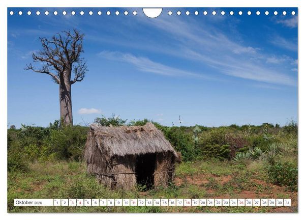 Produktbild: Madagaskar. Traumhafte Natur und Tierwelt (Wandkalender 2026 DIN A4 quer), CALVENDO Monatskalender