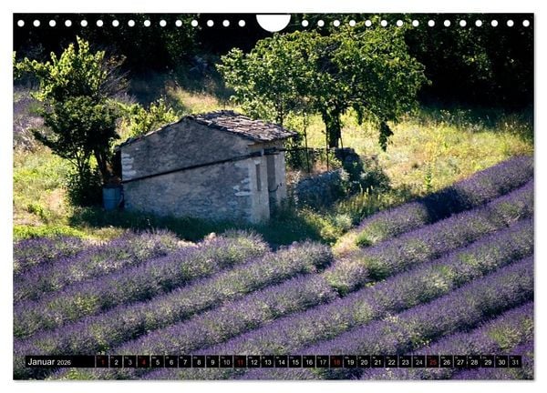 Produktbild: Provence Impressionen (Wandkalender 2026 DIN A4 quer), CALVENDO Monatskalender